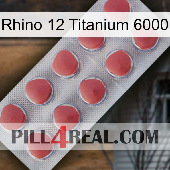 Rhino 12 Titanium 6000 18.jpg